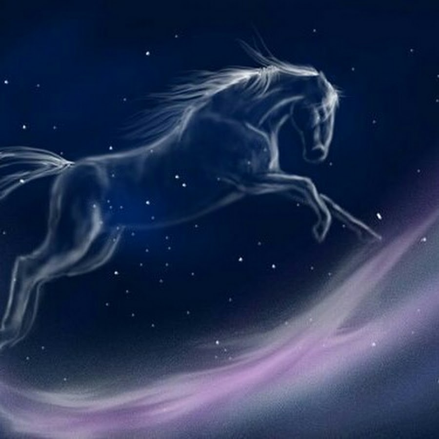 Единорог ночи. Космический конь. Лошадь в космосе. Звездная лошадь. Созвездие лошади.