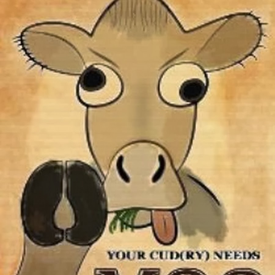 Your country needs you. Your Country needs you плакат. Moo. Orange Moo Cow font.