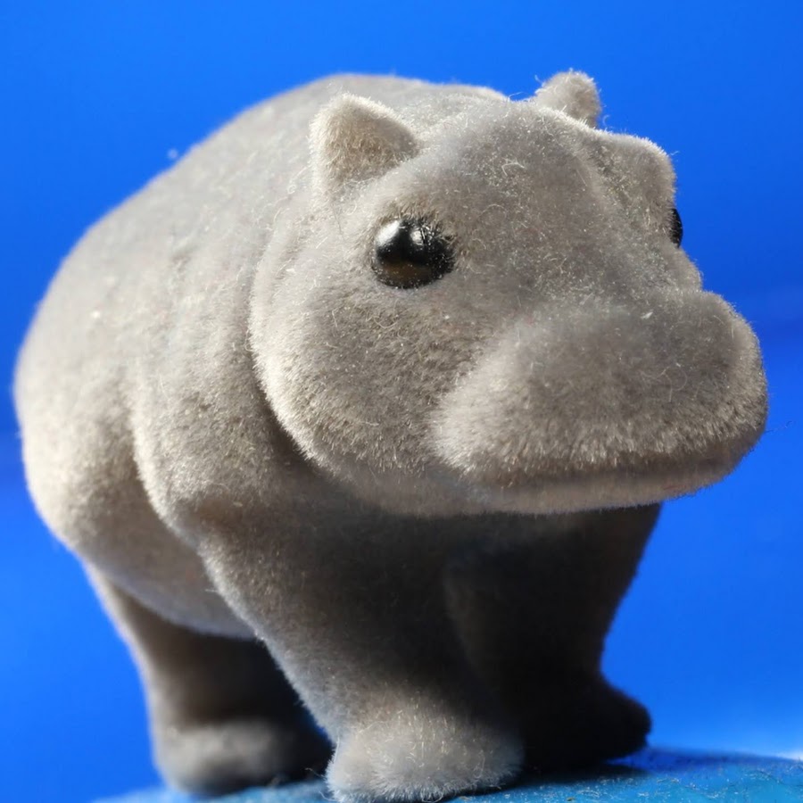 Pantsahat hippo