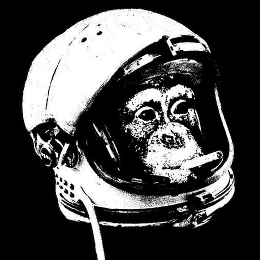 Space monkey. Обезьяны в космосе. Космически похуй обезьяна. Space Monkey Art old Skull.