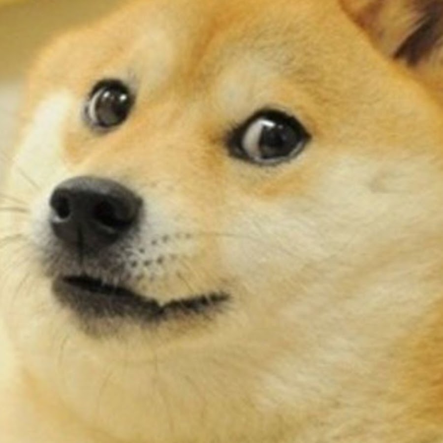 This is doge steam фото 16