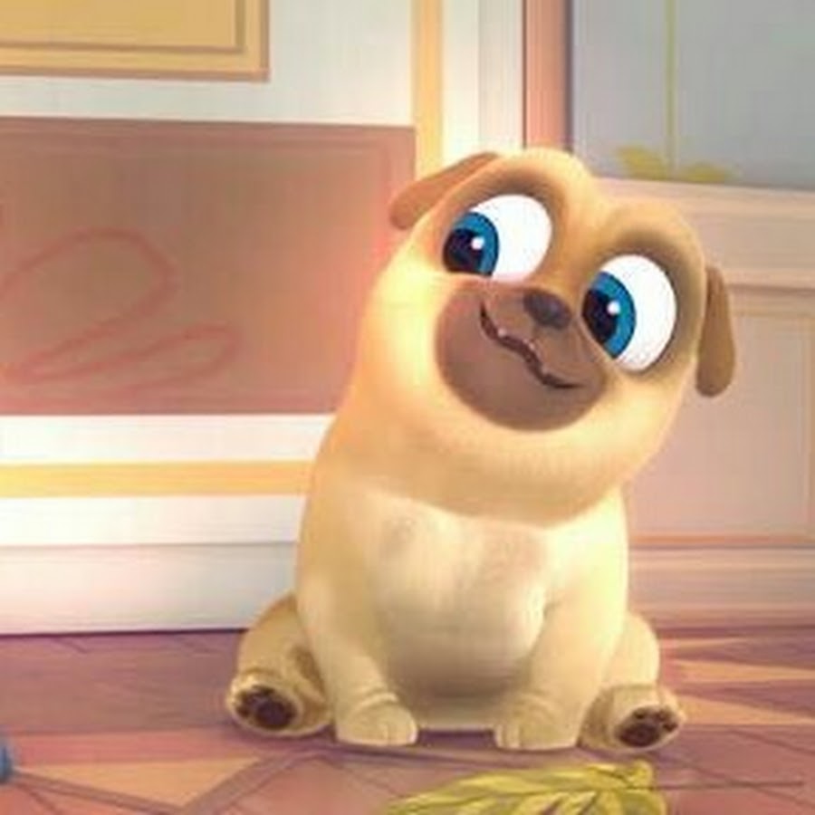 Дружные мопсы. Бинго и роли дружные мопсы. Дружные мопсы (Puppy Dog Pals). Дружные мопсы мультсериал кадры. Дружные мопсы Джеки.