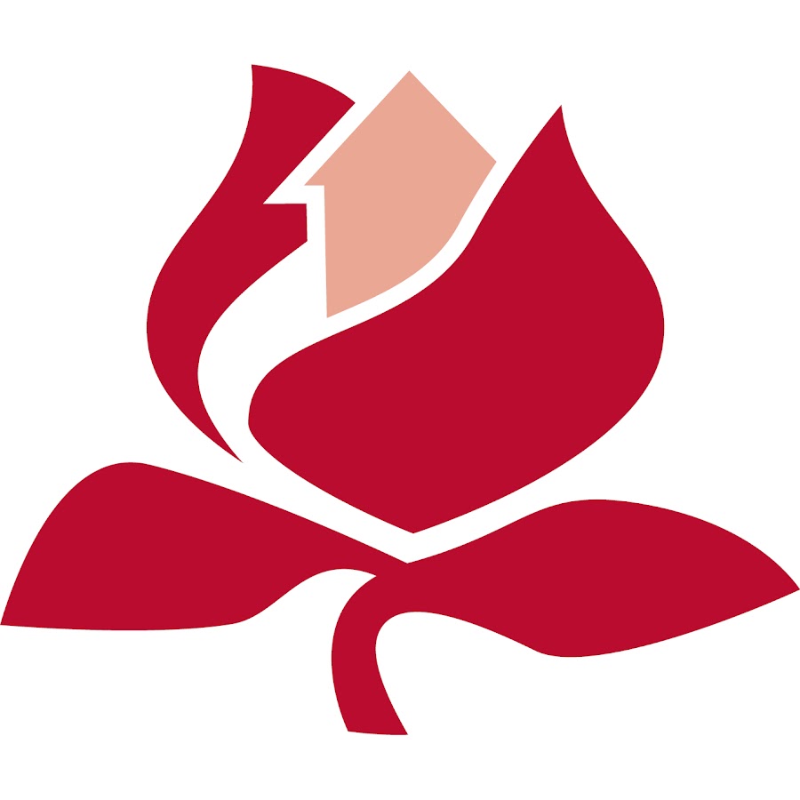 Rose development. Роза Коннект. Youth logo.