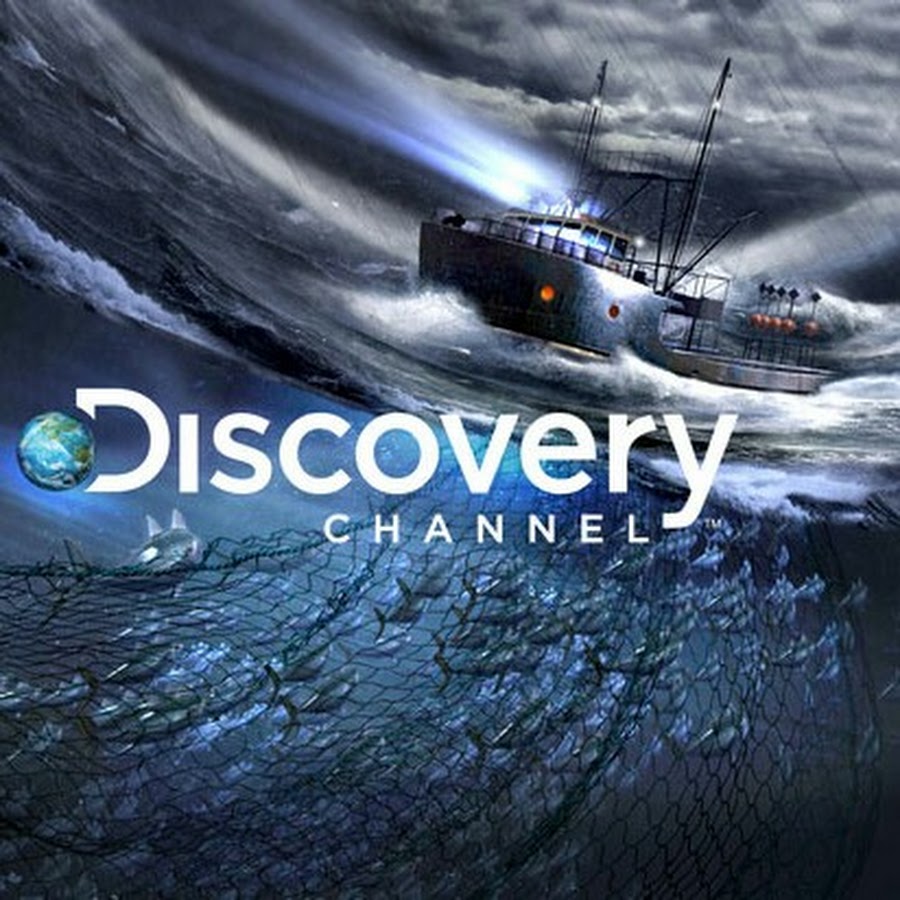 Discovery channel program. Дискавери канал. Телеканал Discovery channel. Анонсы Discovery. Дискавери ченел логотип.