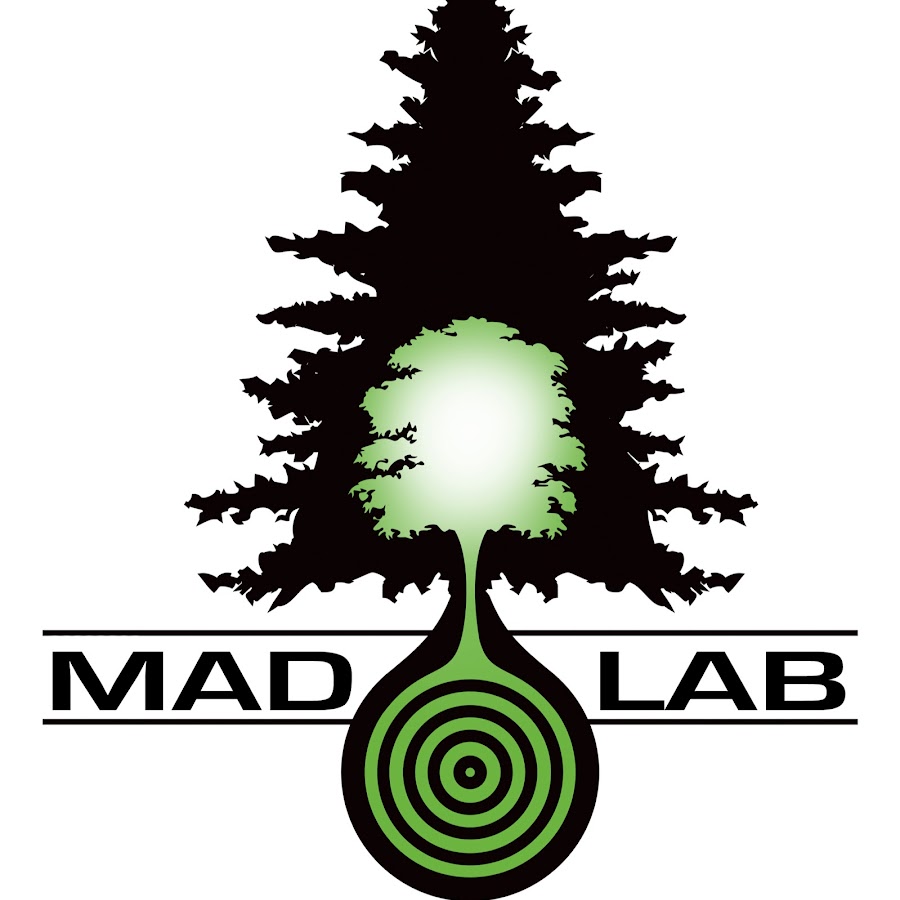 Mad labs. Insane Labs logo. Mad Lab.