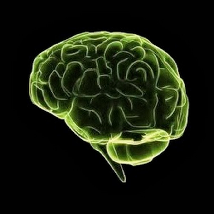 Green brain. Загрузки человеку в мозг. Neuro graphic.