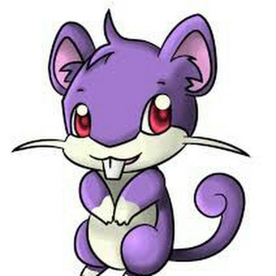 Покемон Rattata. Покемон крыса Раттата. Pokemon Раттата. Покемон мышь Раттата.