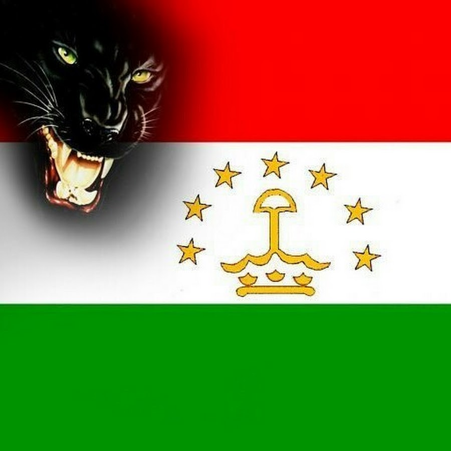 Телефон по таджикски. Таджикистан флаг красивый. Таджикский флаг Лев. Таджикский флаг красивый. Таджикский флаг с изображением Льва.