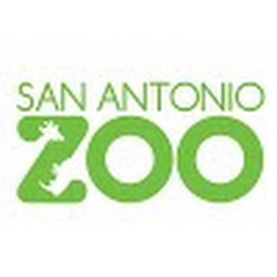 san-antonio-zoo-impact-san-antonio