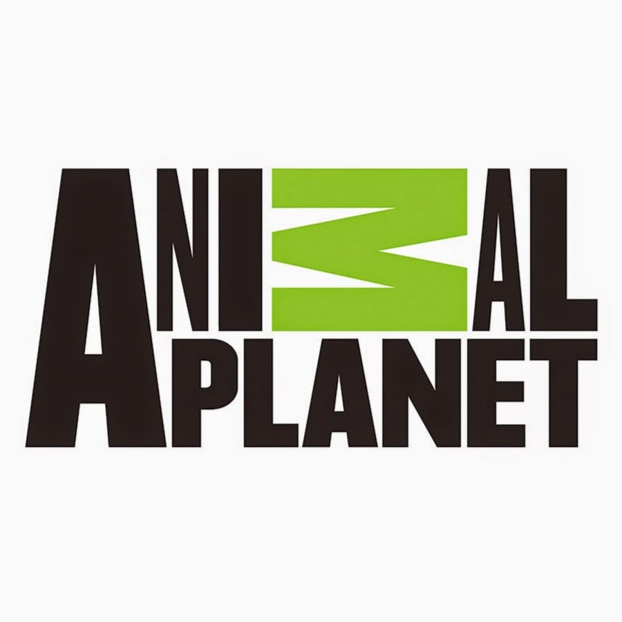 Animal planet. Телеканал animal Planet. Animal Planet Телепрограмма. Animal Planet Russia. Animal Planet старый логотип.