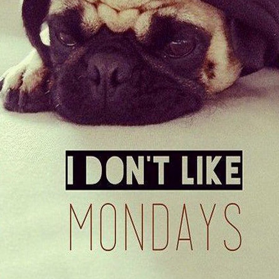 I like monday. Monday be like.