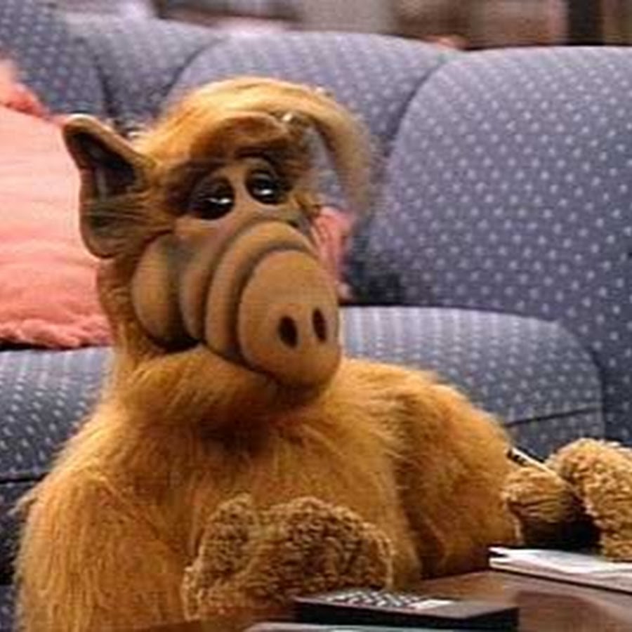 <b>ALF</b> - YouTube.