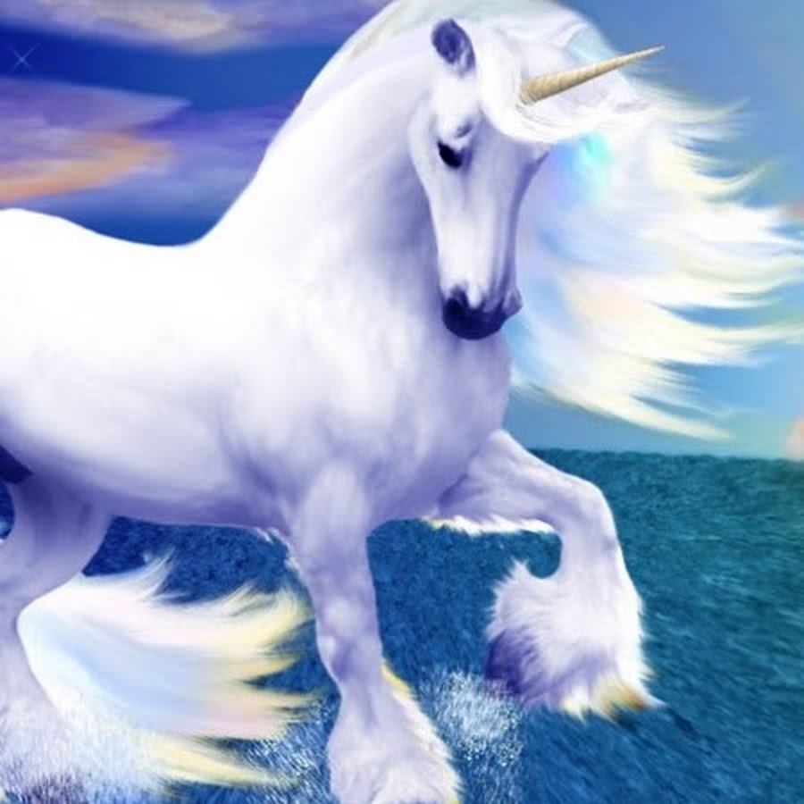 2014 год какого цвета. Единорог. Единорог картинка. Сказочные лошади. Сказочный конь.