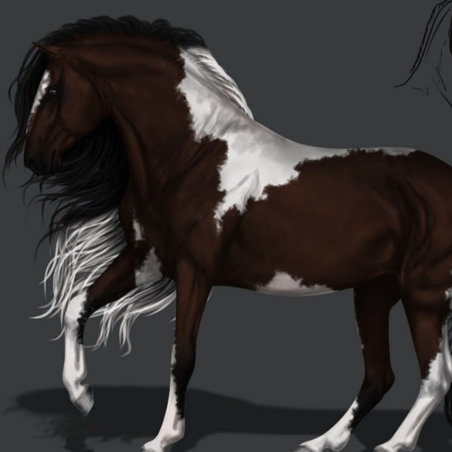 Лошадь 3 месяца. Гнедой тобиано Мустанг. Лошадь арт. Арты лошадей. Красивая лошадь арт.
