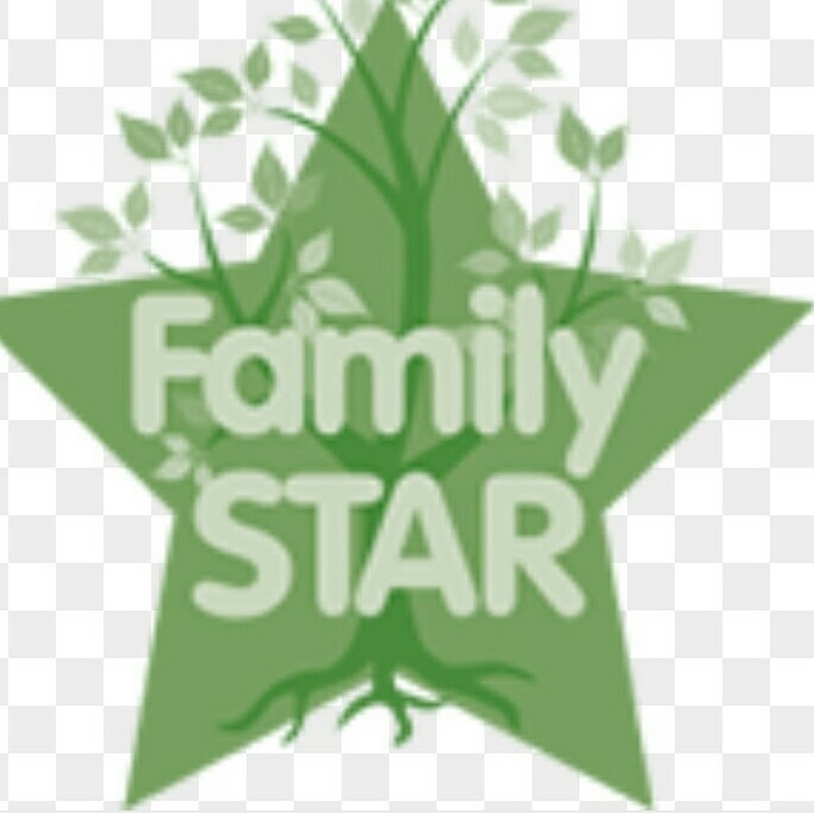 Star family программа. Star Family. Телеканал Star Family. Логотип канала Star Family. Star Family HD логотип.