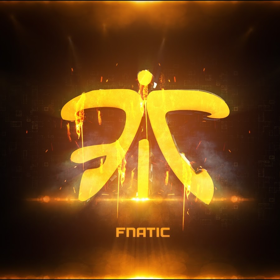 Fnatic steam profile фото 22