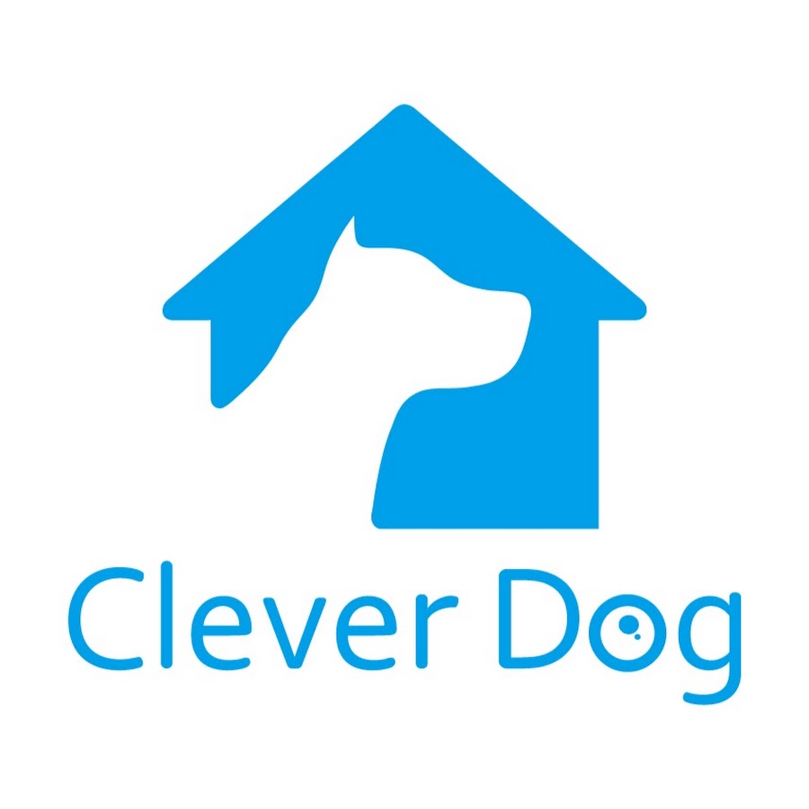 Clever dog. Clever Dog приложение. Bad Cent Clever Dog. Clever Dog PNG.