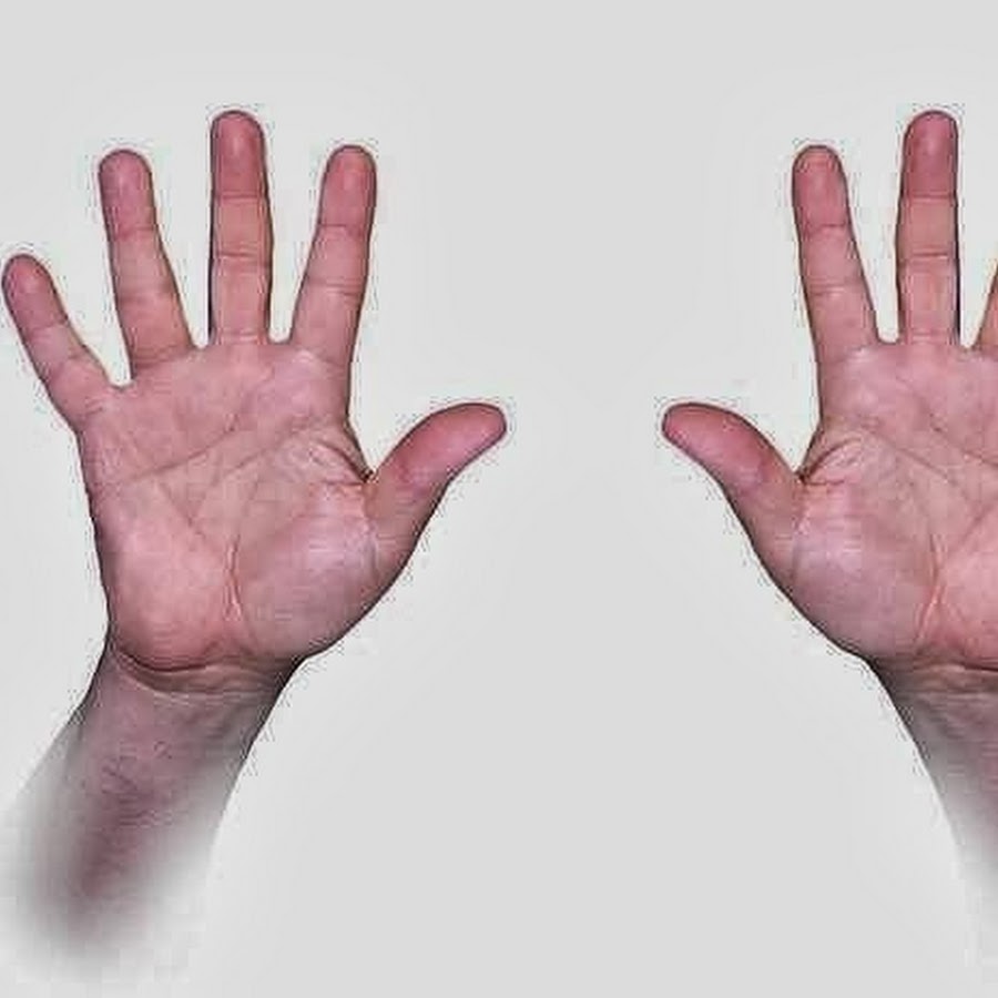 Зачем человеку пальцы. Ладошки левая и правая. Правая и левая рука. Человек правый и левый руки.