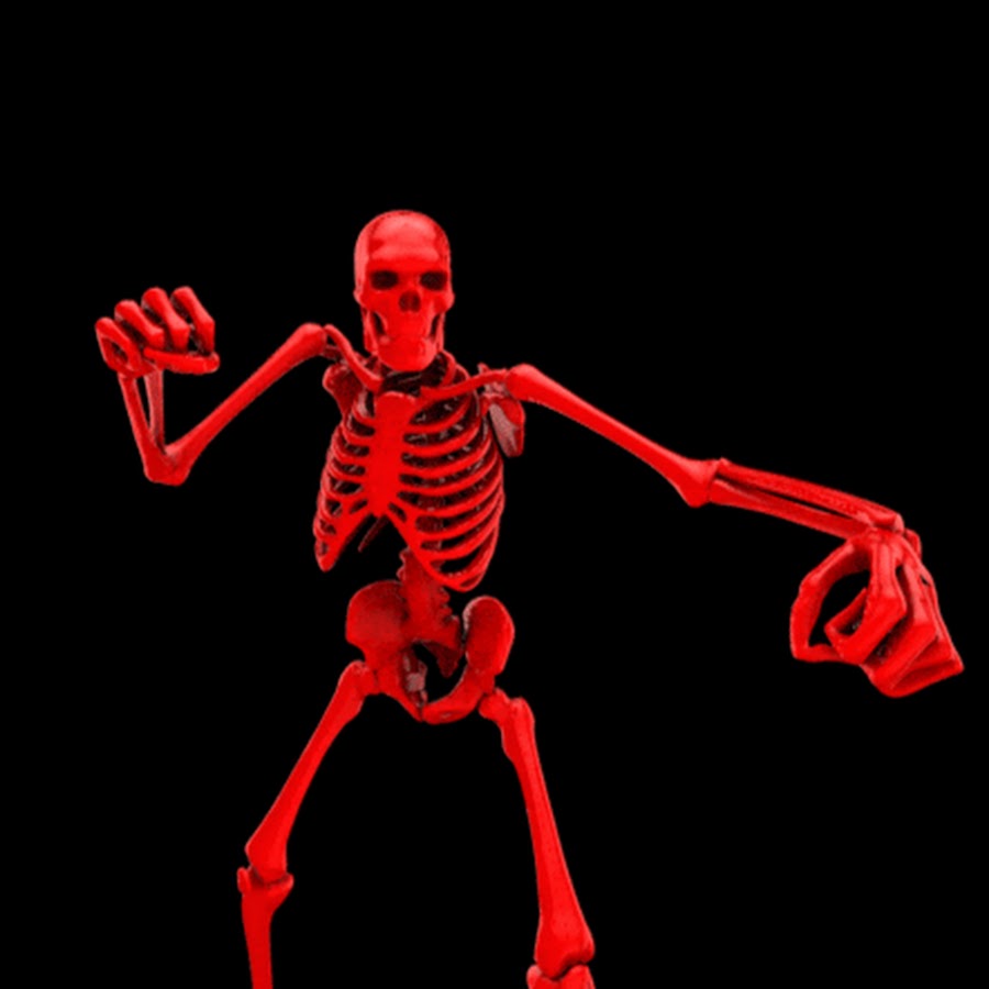 Skeleton gif. Анимированный скелет. Двигающийся скелет. Гифки скелет. Танцующий скелет.