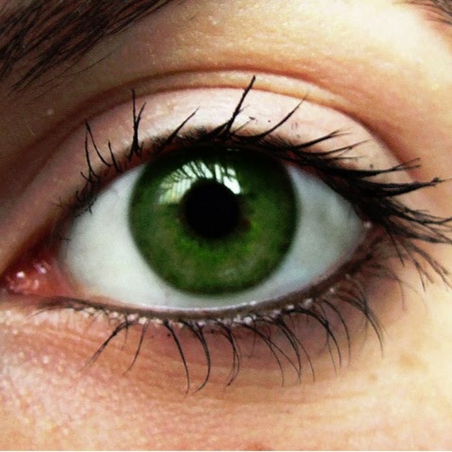 Зеленые глаза на свету. Болотный цвет глаз гетерохромия. Зелёные глаза. Красивые зеленые глаза. Болотно зеленые глаза.