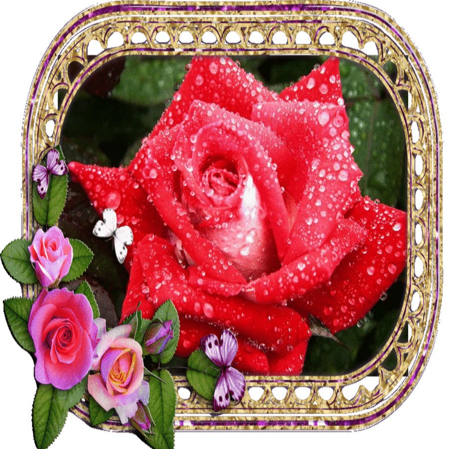 Красивый цветок картинка анимация. Блестящие цветы. Мерцающие букеты. Красивые блестящие цветы. Розы с блестками.