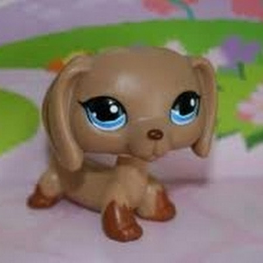 Лпс Пеппер. Littlest Pet shop 107. Littlest Pet shop 325. Little Pet shop 1211.