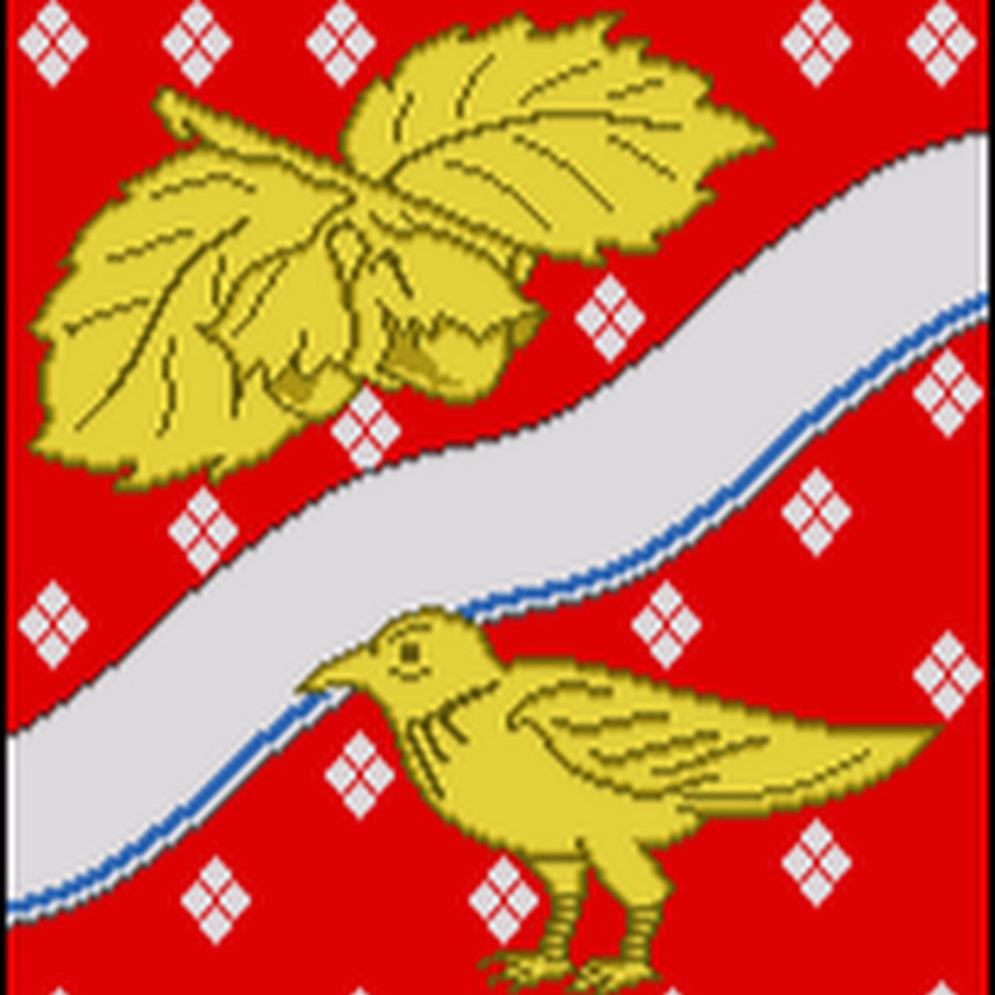 Зуевский городской округ. Герб Орехово-Зуево. Герб Орехово-Зуева. Герб города Орехово-Зуево. Флаг города Орехово-Зуево.