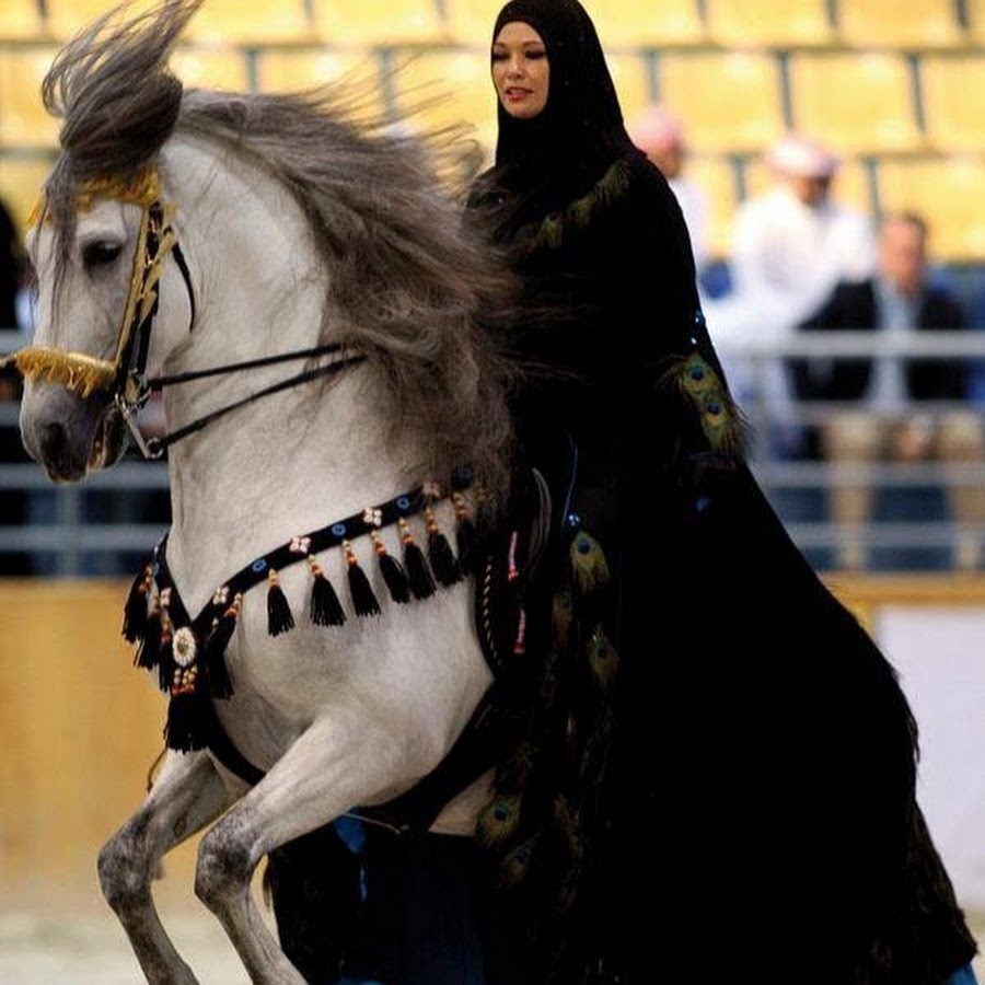 Мусульманские лошади. Арабская лошадь. Мусульманка на коне. Мусульманка верхом на лошади. Араб на коне.