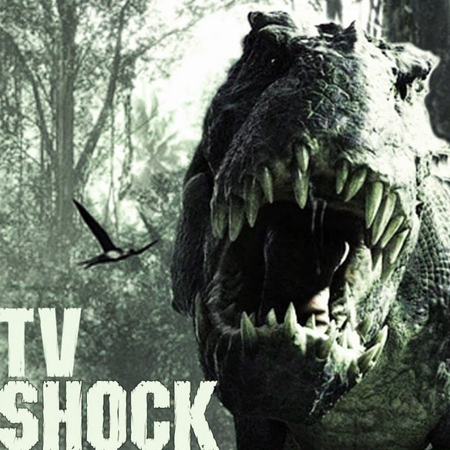 TV Shock. SHOCKTV.