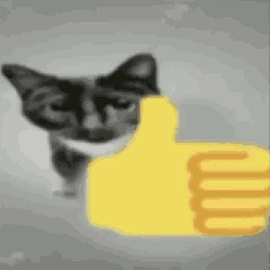 Cat holding thumbs up