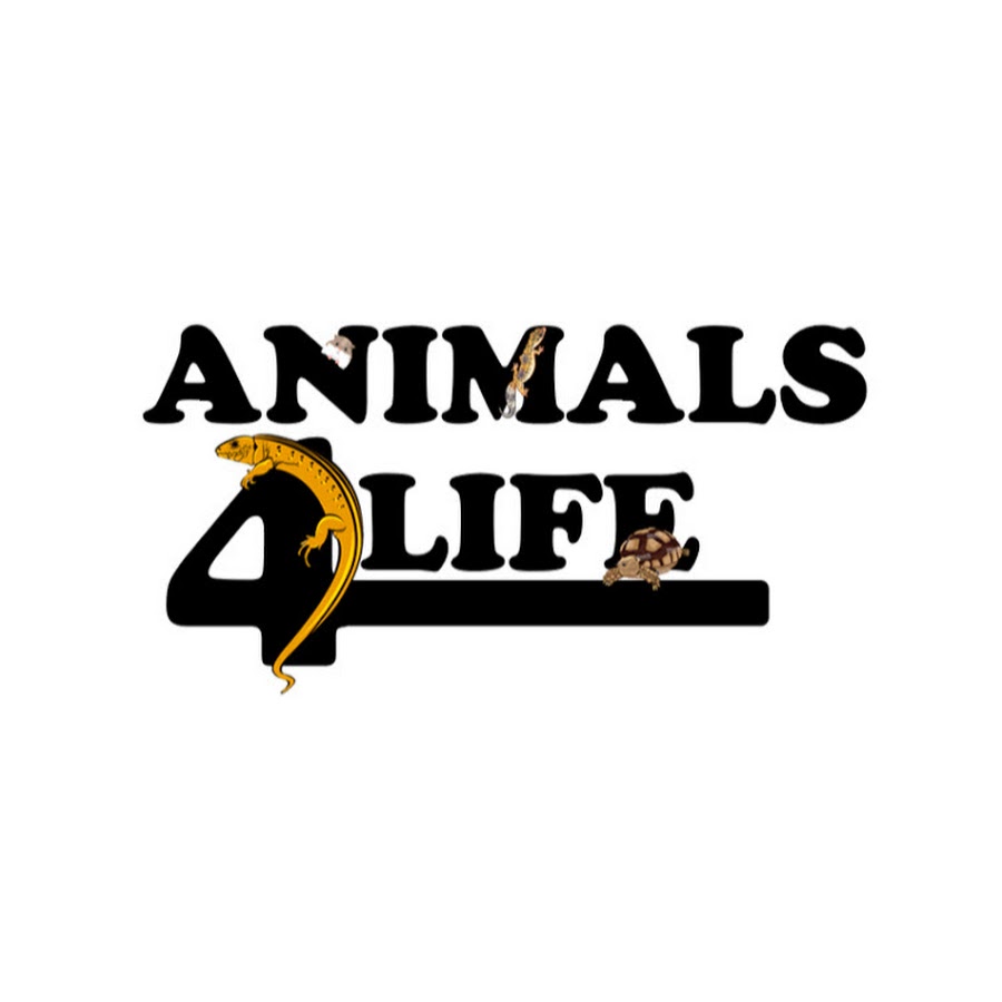 Animals 4 Life @Animals4Life