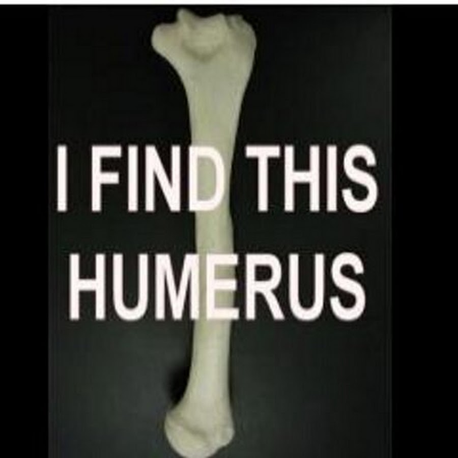 Funny bone. Caput humor анатомия. Humorous Bone. Funny Bone where.