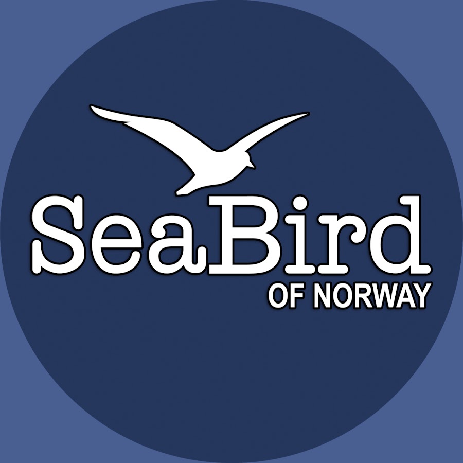 SeaBird Designs Kayaks YouTube