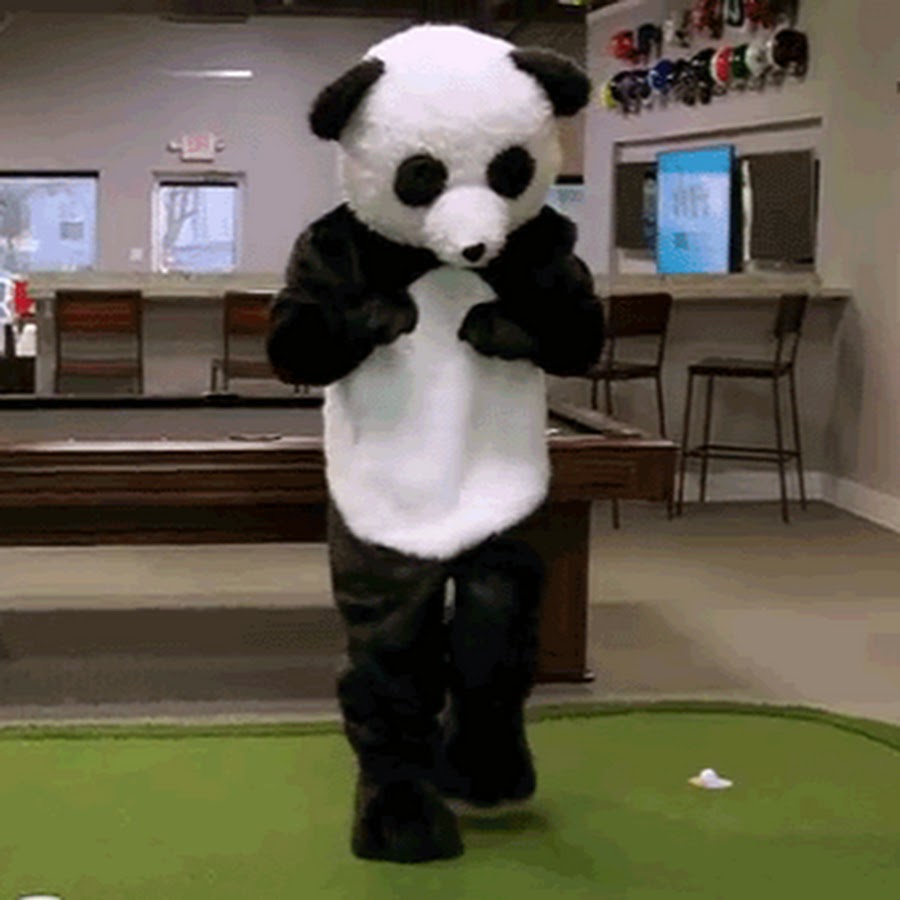 Панда танцует видео. Танцующий Панда. Панда танцует. Танцующая Панда gif. Танцующие панды.