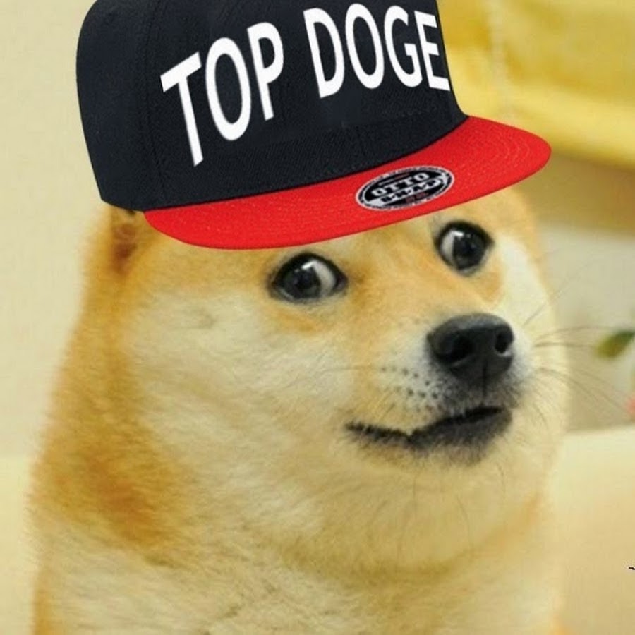 Up x dog. Собака в кепке Мем. Doge в шапке. Doge в очках. Ава доги.