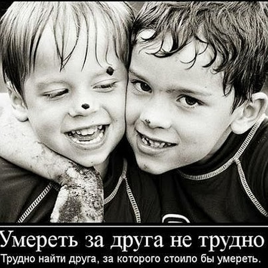 Хороших и верных друзей. Найти доброго друга. Друзья вместе. Друзей выбираем мы сами а лучших оставляет время. Пословицы о дружбе.