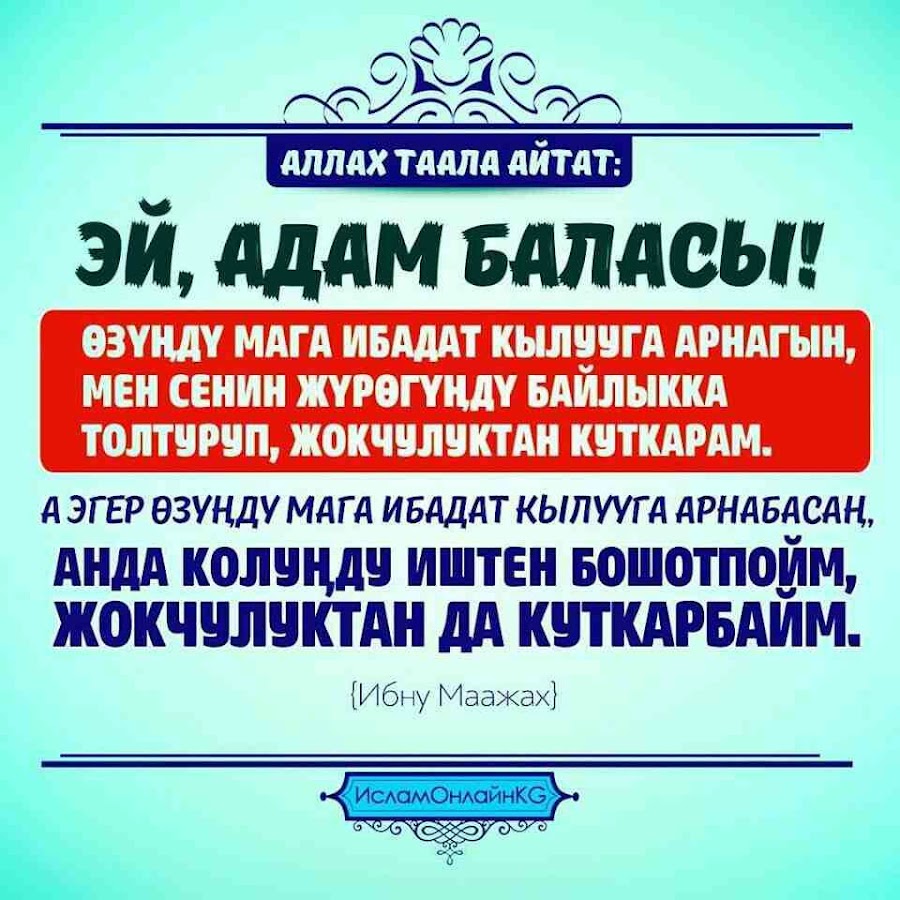 Сапарга чыгуу дубасы картинка