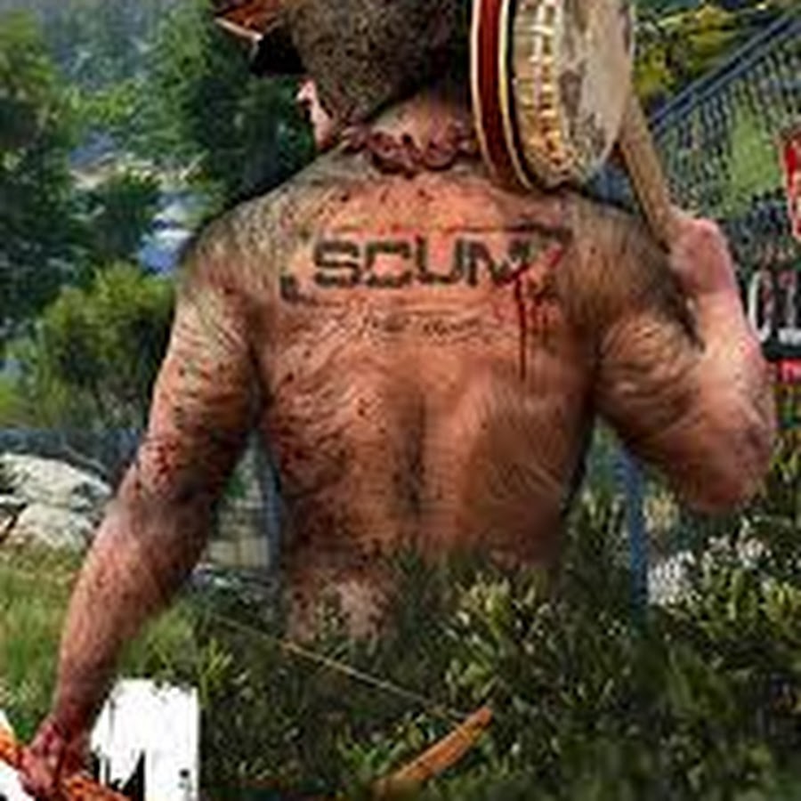 Scum играть без стима фото 93