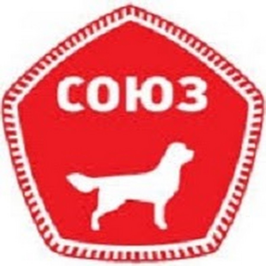 Клуб dogs