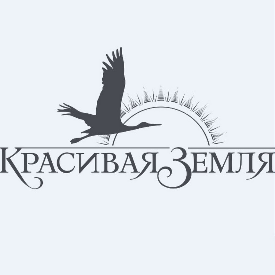 Компания земля. Компания красивая земля. Компания красивая земля сотрудники. Земля фирмы. Компания красивая земля СПБ.