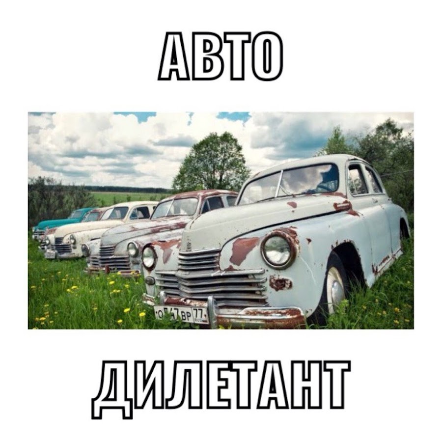 Дилетант ютуб