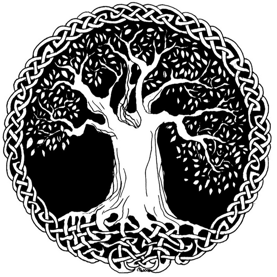 Ком дерево жизни. Исполинский ясень Иггдрасиль. Мировое Древо жизни Иггдрасиль. Кельтское Древо Иггдрасиль. Кельтское дерево жизни Иггдрасиль.