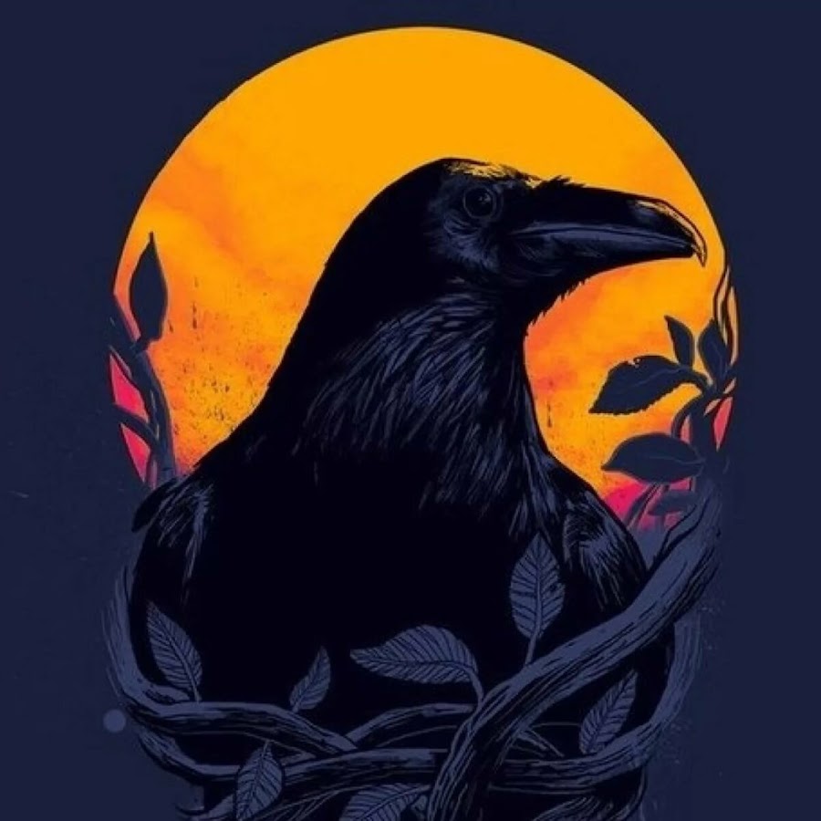 Crow ютуб. Хугин и Мунин. Ворона арт.