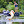 RuralFishingBD avatar