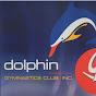 Dolphin Gymnastics Club - @dolphingymnasticsclub6320 - Youtube