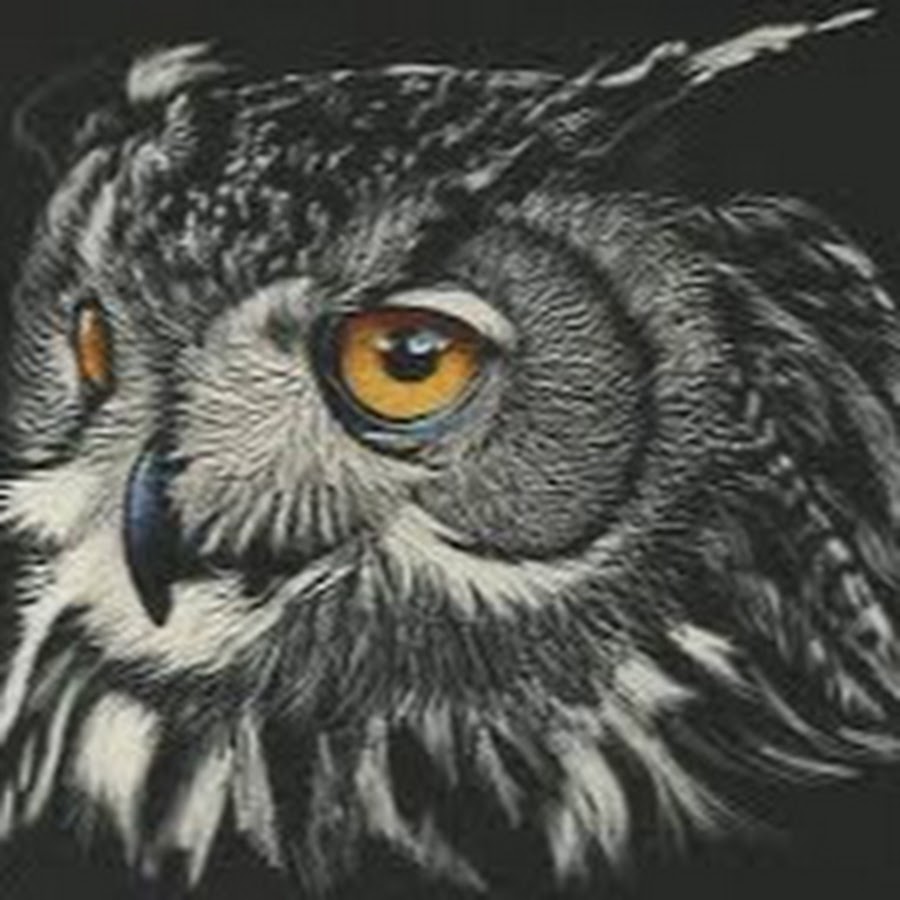 Youtube night watch sale