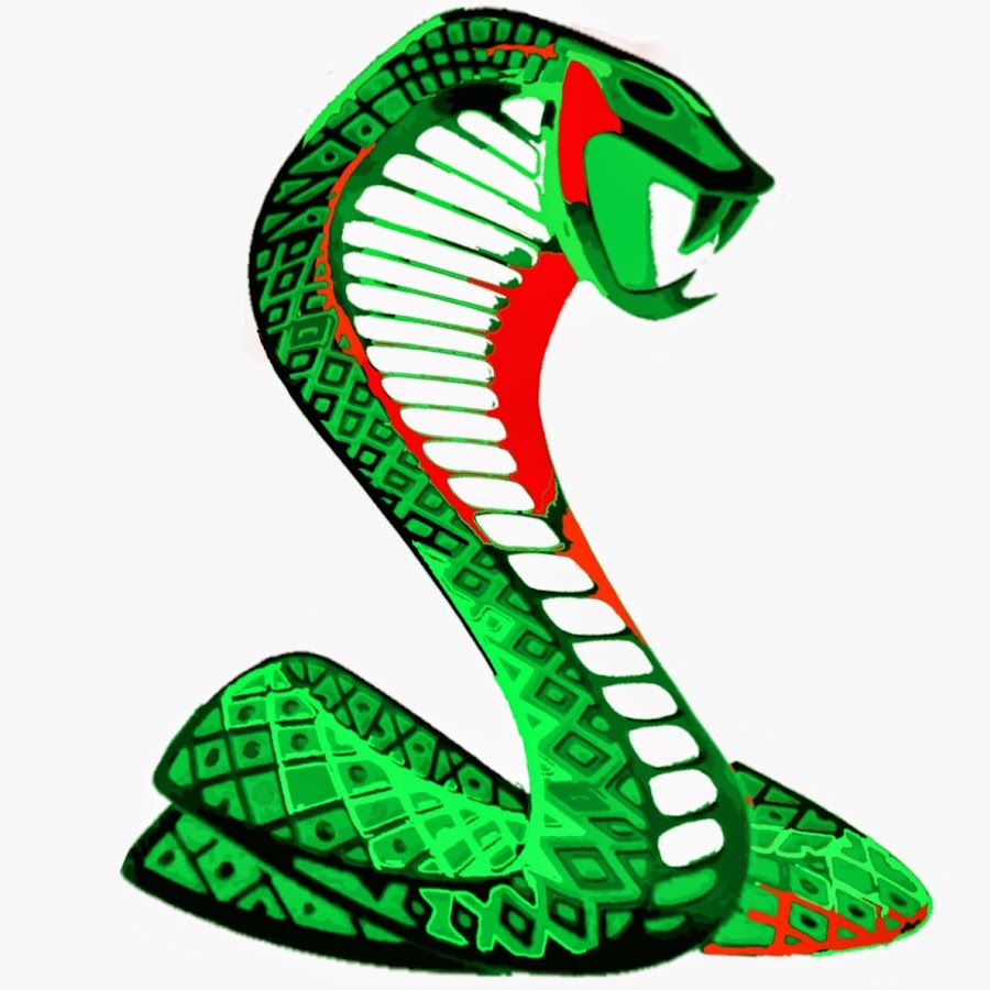 I m snake. Змеи м. I’M A Snake.