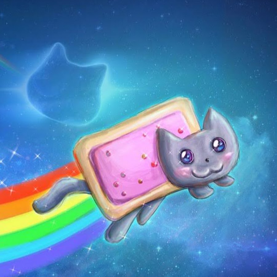 красивые кошки разноцветные. радужная кошка 1. разноцветная кошка. радужная кошка. радужная кошка.