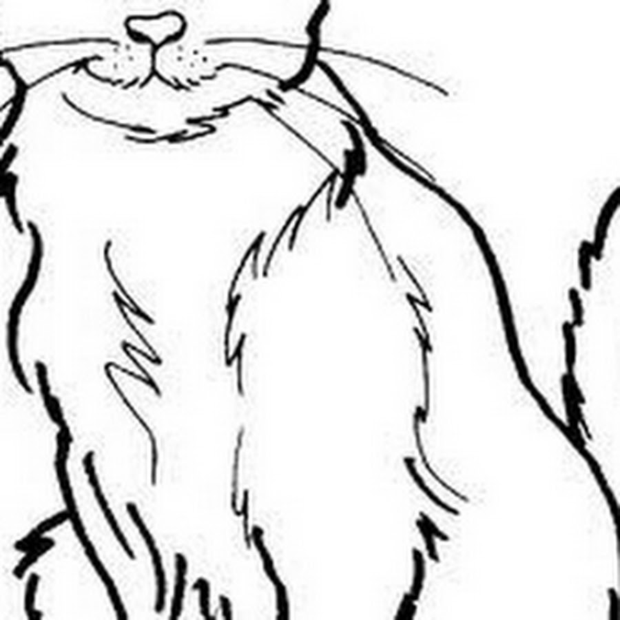 кот ученый раскраска