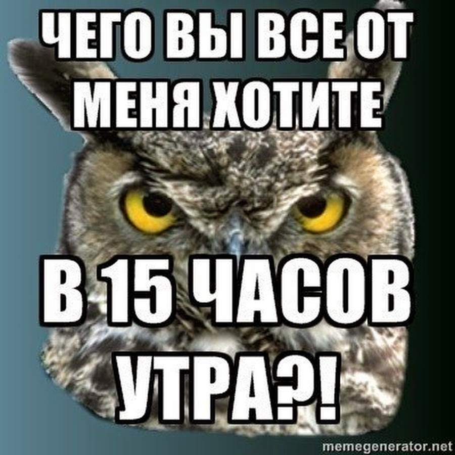 Хочу 15. Что вы от меня хотите в 15 часов утра. Чего вы от меня хотите в 15 утра. Сова Мем утро. В 15 часов утра Мем.